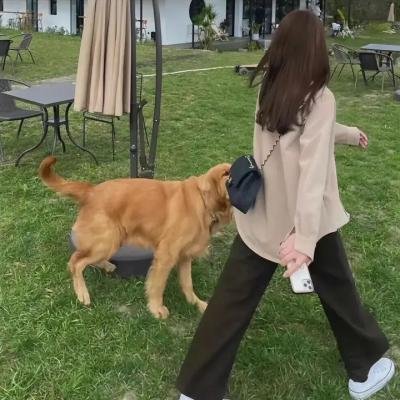 终极制裁